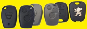 Remote Control Case